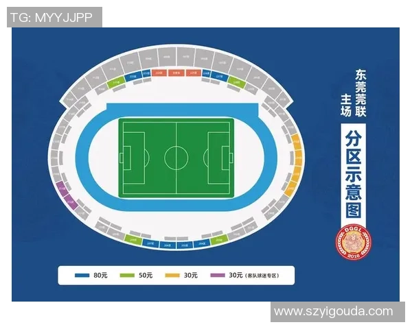 武汉足球队运营革新探索新模式助力球队发展与城市文化融合